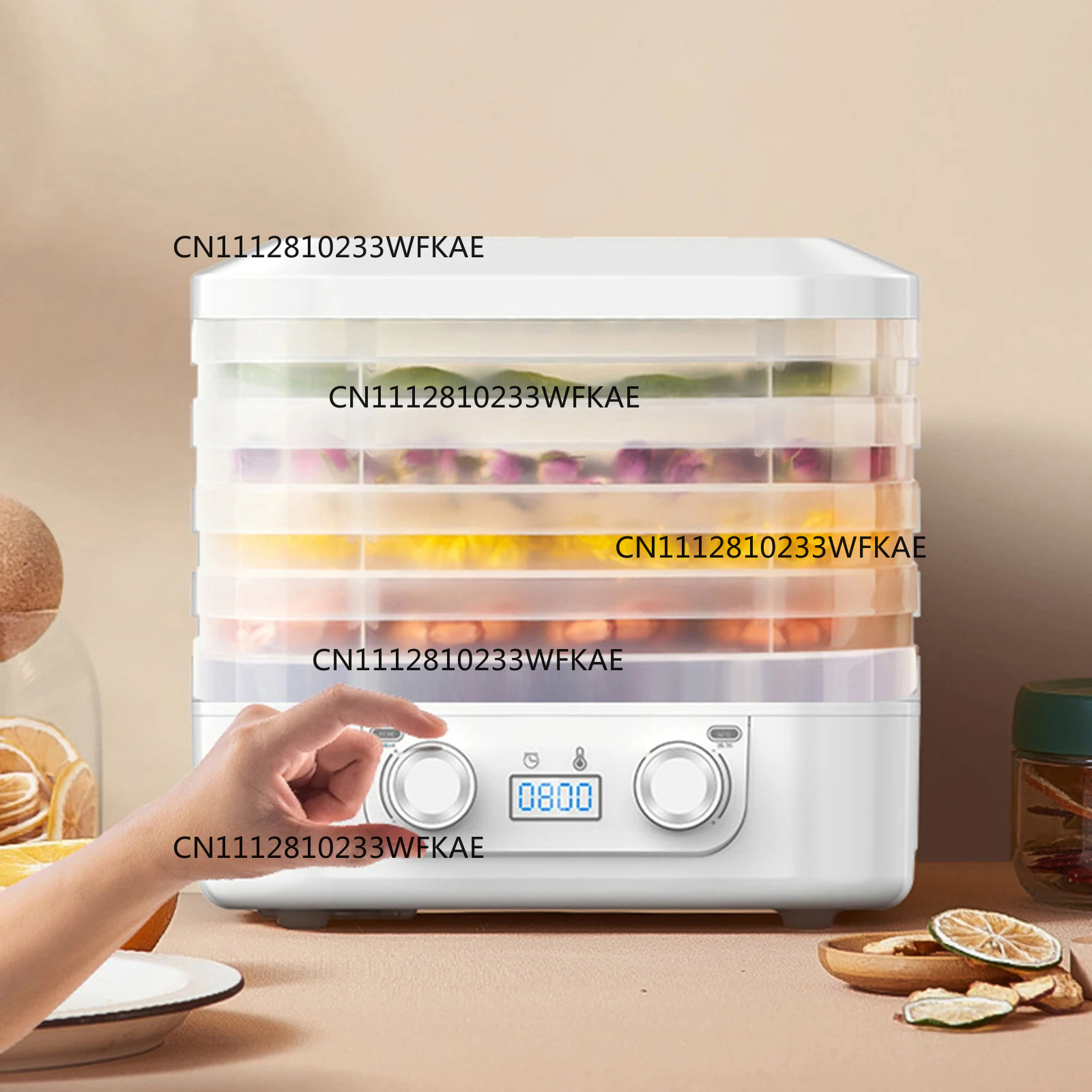 48Hours Long Lasting Thermosta - Food Dehydrator Snacks 评论和价格